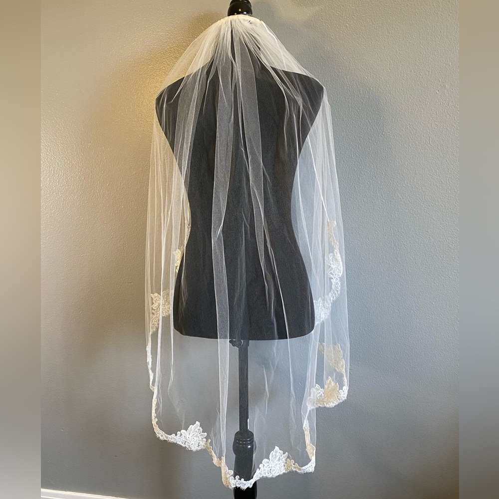 Satin and Lace trim veil